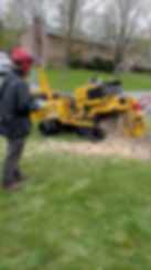 Worker using a machine for the cost of stump removal.