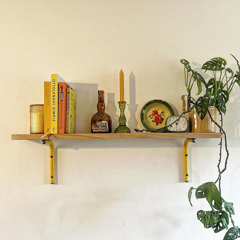 Thumbnail: Otter Shelf Brackets