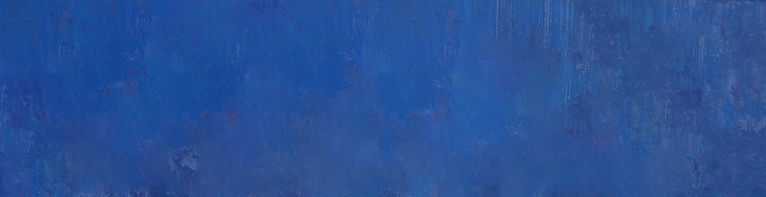 HVF Banner Background.jpg