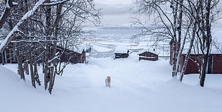 Borderlands-Film Still-011.jpg