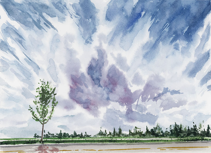 Watercolour on paper of July 04, 2020 featuring an East view, looking towards a treeline with a single tree in the foreground