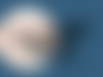 The Wayhaven Chronicles - Update 24.04.2026