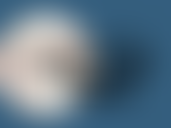 The Wayhaven Chronicles - Update 26.05.2023