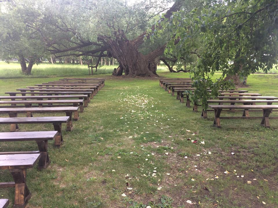 bench5