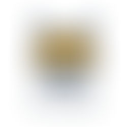 Blog Post 7