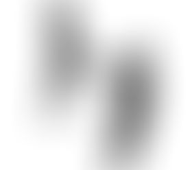 Looking towards 2015 with S. Benjamins & Co.