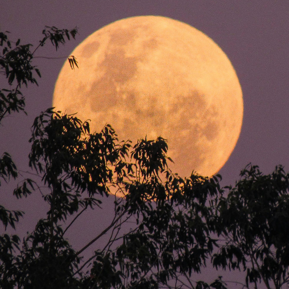 Vollmond Juni - Erdbeermond