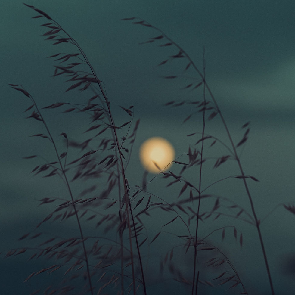 Vollmond Oktober