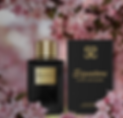 PhotoRoom-20210820_161341 (1).png