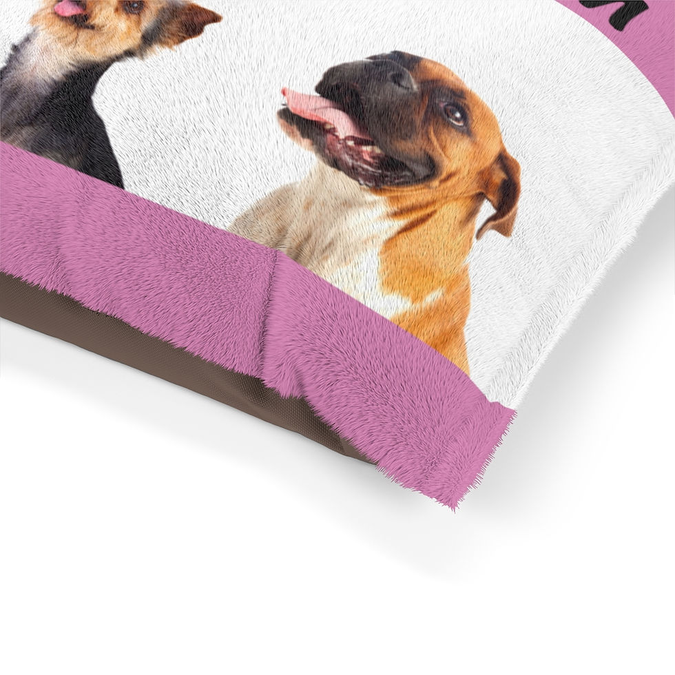 Thumbnail: Pet Bed