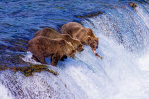 Katmai_2024_14351