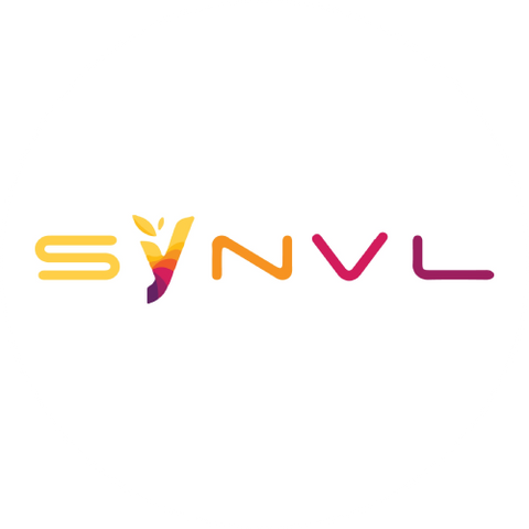 Synvl logo DCXI 