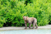 LakeClark_2024_00586