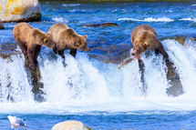 Katmai_2024_13227