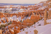 BryceCanyon_2019_00059_LRbackground.jpg