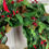 Thumbnail: Magnolia Christmas Wreath, Magnolia Leaves, Cedar and Red Berries