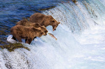 Katmai_2024_13654