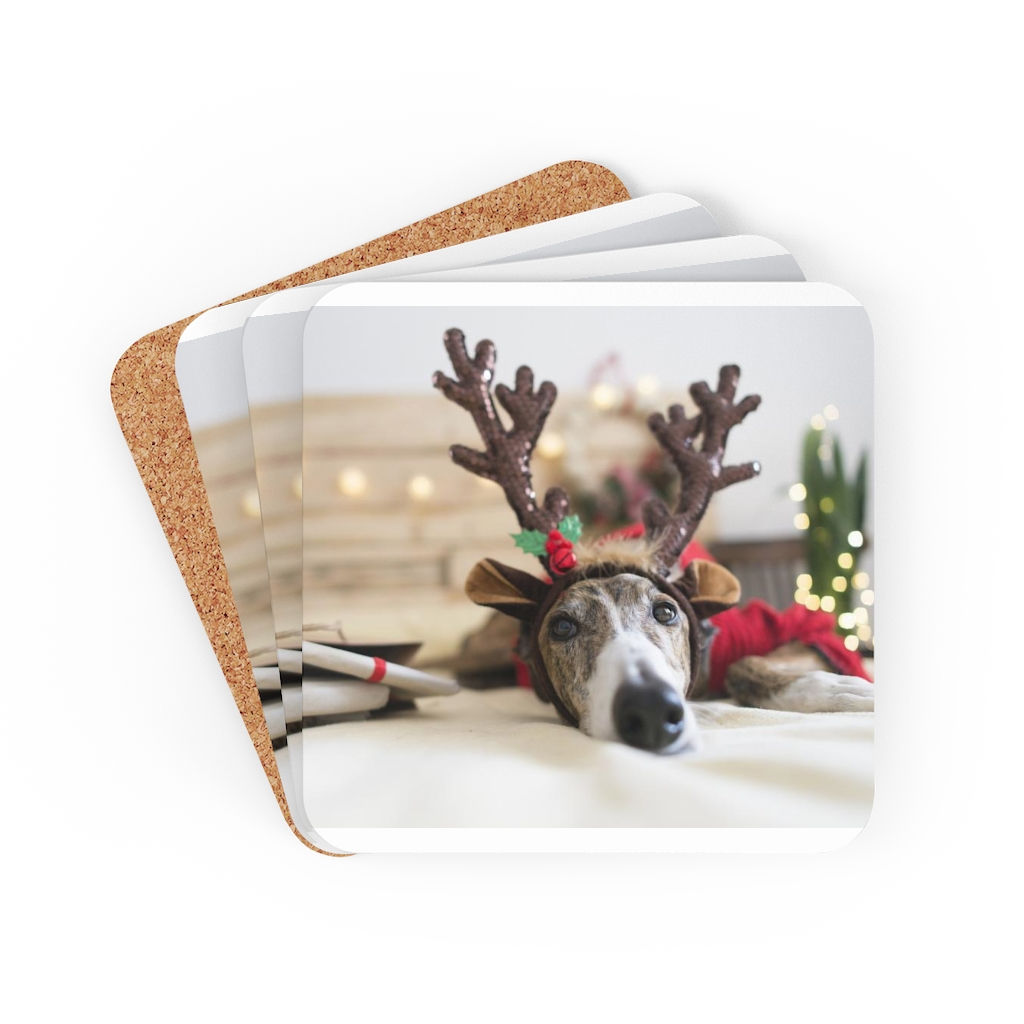 Corkwood Coaster Set