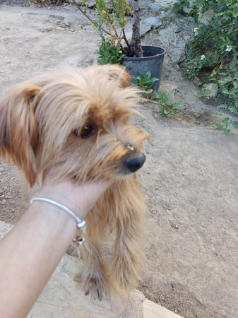 lola-2.jpeg