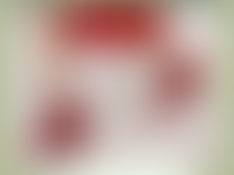 Daniella Shevel partners with Coblrshioo