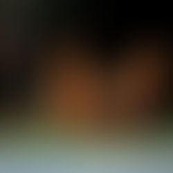 CASTELL DE FESTES: PATRIMONI HISTORIC FESTER