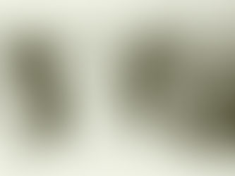 PARC MÒBIL DE MUTXAMEL : 1936-1957