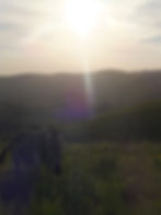 Fieldwork sunset