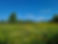 20210901_120847.jpg