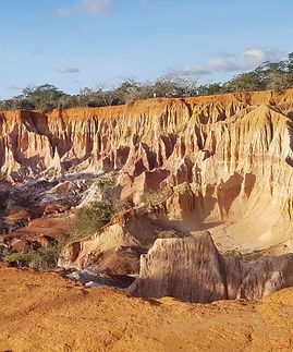 Screenshot_20220915-172826 (2)_edited.jpg