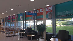 Opaque Window Graphics