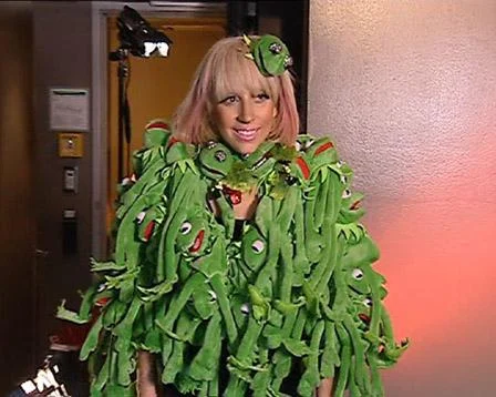 Lady Gaga Wears Coat Made of Kermits