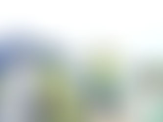 命まもる政治を!