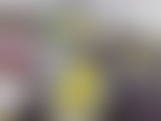 安来市議選の応援に