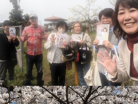 春爛漫ですね🌸