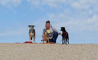 Dog and person bonding