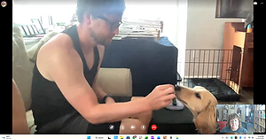 Virtual dog training