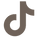 tiktok icon