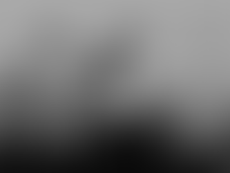 Experience & Efforts