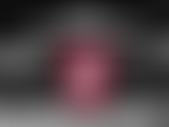 Vorab Berichte zur Hauptversammlung 2026