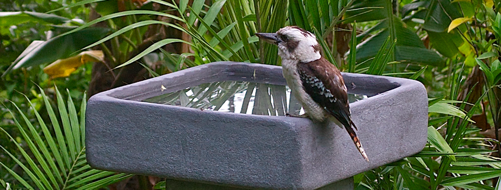 garden products and decor,bird baths,pedestals,plinths,water bowls,wall plaques,garden lanterns,