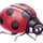 Ladybug