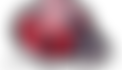 Huerto Casero Ecológico. Descarga GRATIS este Bonito y Práctico Manual