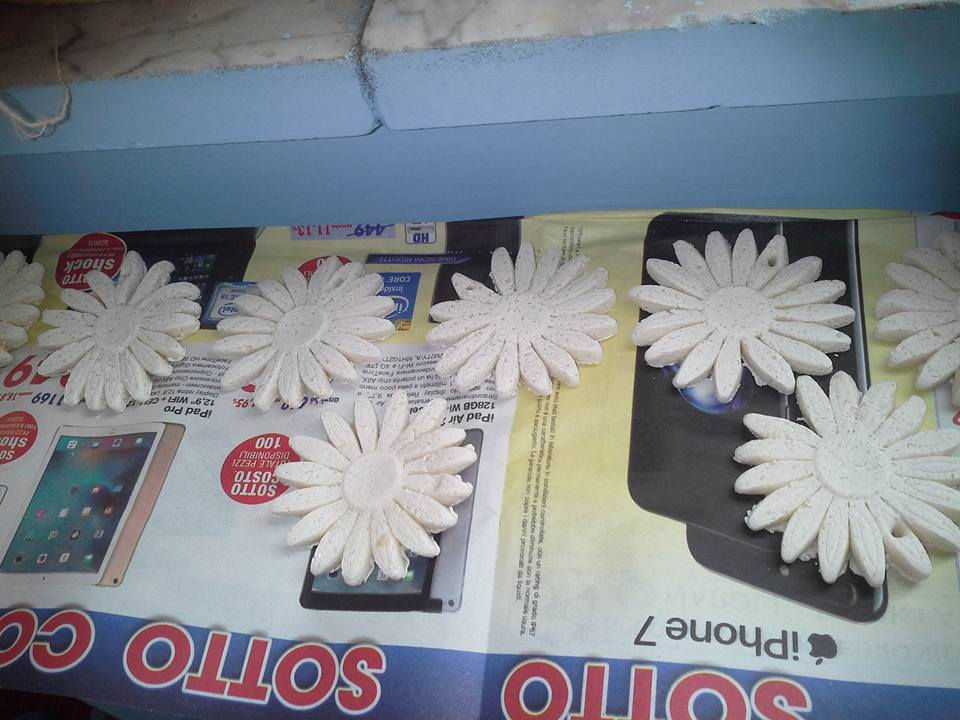 GIRASOLI con PASTA di SALE