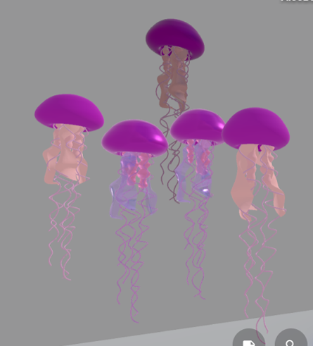 jellyfish-test.png