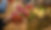 DSC01744.jpg
