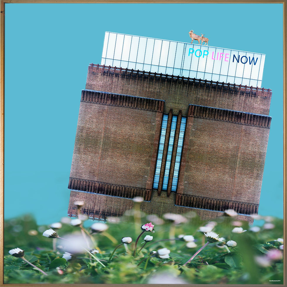 POP LIFE NOW