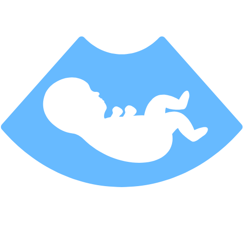 Early pregnancy icon