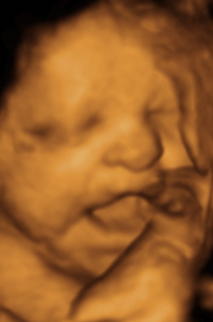 Screenshot 2025-10-15 at 12.39.20 PM.png