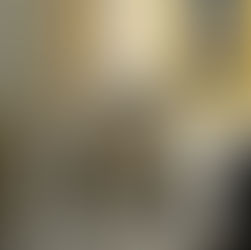 Don Simone SAMA' presiede il settimo giorno della novena.