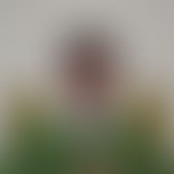 Don Angelo GAROFALO presiede l'ottavo giorno della novena.